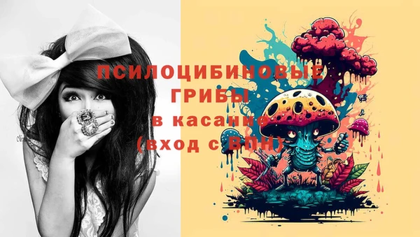 ешки Алексеевка