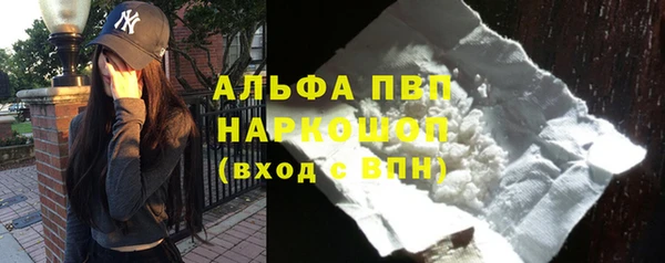 крисы Алзамай