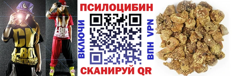 ОМГ ОМГ вход  мориарти формула  Псилоцибиновые грибы Cubensis  Балаково 