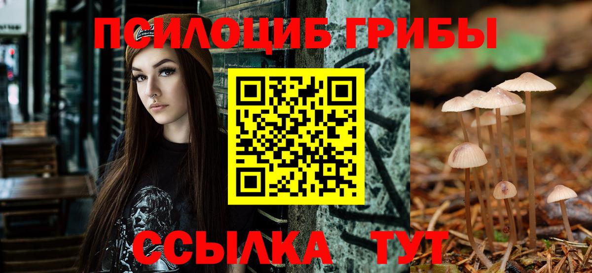 Балаково  Галлюциногенные грибы GOLDEN TEACHER  Вход с VPN 
