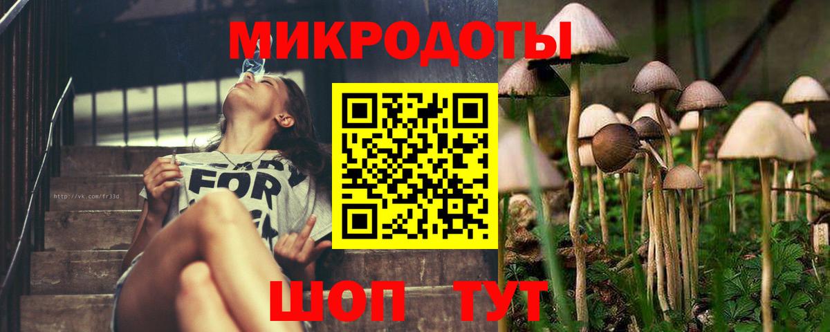 Псилоцибиновые грибы Magic Shrooms Балаково