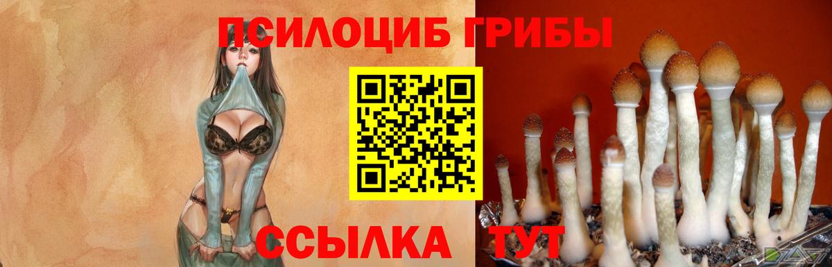 Псилоцибиновые грибы ЛСД  Вход с VPN  закладка  Балаково 