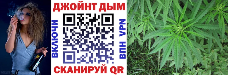 где найти   Балаково  Бошки Шишки OG Kush 